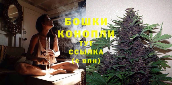 трава Дмитровск