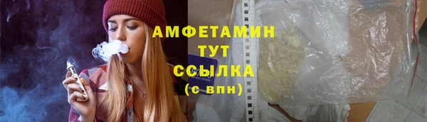 твердый Дмитров