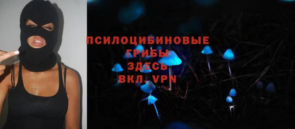 твердый Дмитров