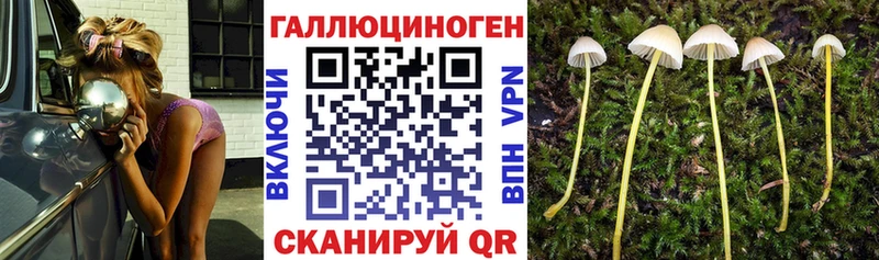 Галлюциногенные грибы Magic Shrooms Купить закладки Павловский Посад